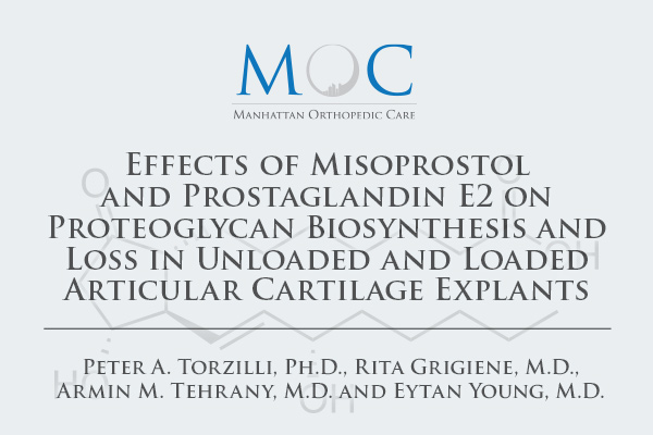 prostaglandins-effects-of-misoprostol-and-prostaglandin-2