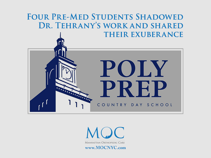 poly prep internship program